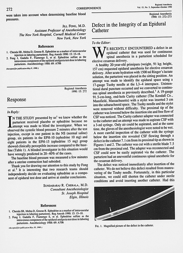 PDF extract preview