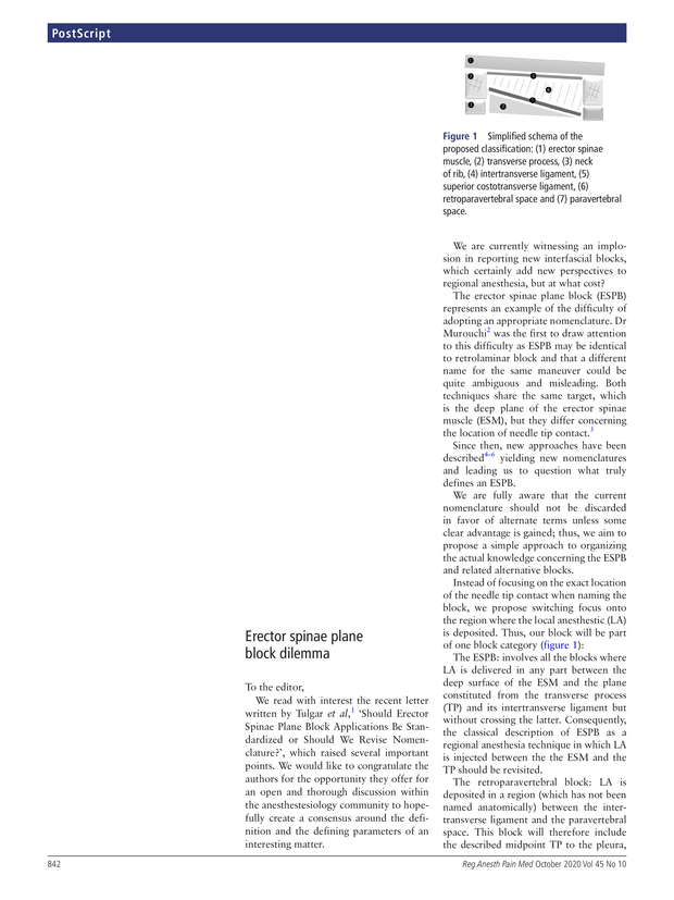 PDF extract preview