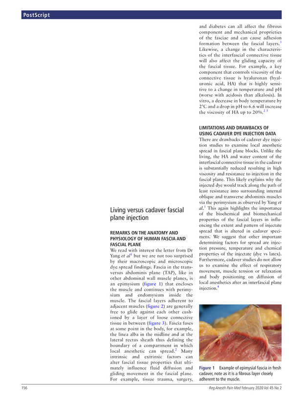 PDF extract preview